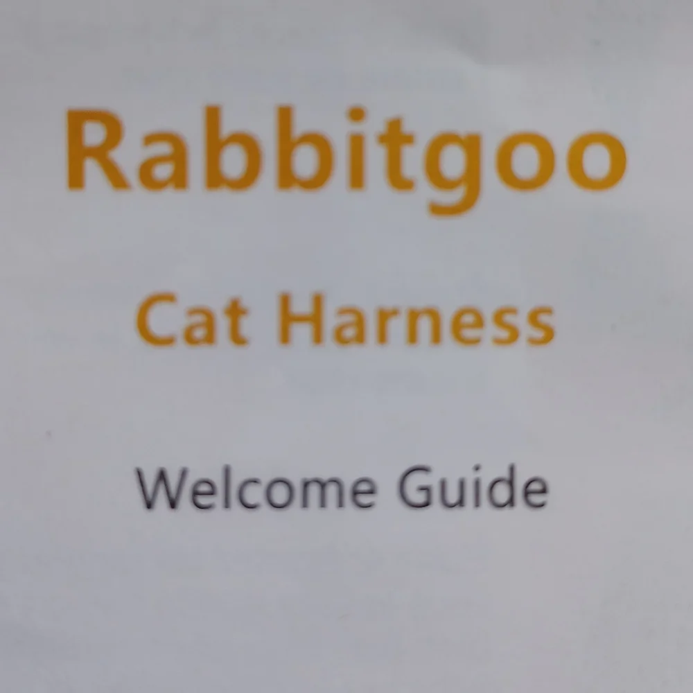 Brand New Cat Harness!